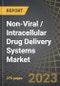 Non-Viral / Intracellular Drug Delivery Systems Market by Type of Molecule, Type of Biologics Delivered, Type of Vehicle Used, Type of Therapeutic Area, Type of Payments and Key Geographies: Industry Trends and Global Forecasts, 2023-2035 - Product Image