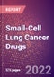 Small-Cell Lung Cancer Drugs in Development by Stages, Target, MoA, RoA, Molecule Type and Key Players, 2022 Update - Product Thumbnail Image