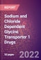 Sodium and Chloride Dependent Glycine Transporter 1 (Glyt1 or Solute Carrier Family 6 Member 9 or SLC6A9) Drugs in Development by Stages, Target, MoA, RoA, Molecule Type and Key Players, 2022 Update - Product Image