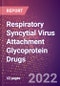 Respiratory Syncytial Virus Attachment Glycoprotein (RSV G or G) Drugs in Development by Stages, Target, MoA, RoA, Molecule Type and Key Players, 2022 Update - Product Thumbnail Image