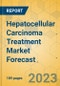 Hepatocellular Carcinoma Treatment Market Forecast- Epidemiology & Pipeline Analysis 2022-2027 - Product Thumbnail Image