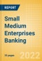Small Medium Enterprises (SME) Banking - Thematic Intelligence - Product Image