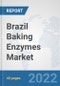 Brazil Baking Enzymes Market: Prospects, Trends Analysis, Market Size and Forecasts up to 2028 - Product Thumbnail Image