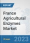 France Agricultural Enzymes Market: Prospects, Trends Analysis, Market Size and Forecasts up to 2028 - Product Thumbnail Image
