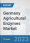 Germany Agricultural Enzymes Market: Prospects, Trends Analysis, Market Size and Forecasts up to 2028 - Product Thumbnail Image