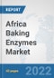 Africa Baking Enzymes Market: Prospects, Trends Analysis, Market Size and Forecasts up to 2028 - Product Thumbnail Image