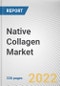 Native Collagen Market By Source, By Application: Global Opportunity Analysis and Industry Forecast, 2021-2031 - Product Thumbnail Image