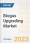 Biogas Upgrading Market Size Outlook by Types, Applications, Countries, and Growth Opportunities, 2023 - Analysis - Industry Outlook, Trends, Size, Share, and Companies Analysis report to 2030 - Product Image