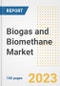 Biogas and Biomethane Market Size Outlook by Types, Applications, Countries, and Growth Opportunities, 2023 - Analysis - Industry Outlook, Trends, Size, Share, and Companies Analysis report to 2030 - Product Image