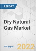 Dry Natural Gas Market - Global Industry Analysis, Size, Share, Growth, Trends, and Forecast, 2022-2031- Product Image