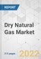 Dry Natural Gas Market - Global Industry Analysis, Size, Share, Growth, Trends, and Forecast, 2022-2031 - Product Image