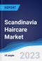 Scandinavia Haircare Market Summary, Competitive Analysis and Forecast to 2027 - Product Thumbnail Image