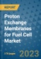 Proton Exchange Membranes for Fuel Cell Market Outlook: Trends, Strategies, Market Size, Market Share, Growth Opportunities and Companies, 2023-2030 - Product Image