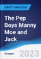 The Pep Boys Manny Moe and Jack - Strategy, SWOT and Corporate Finance Report - Product Thumbnail Image