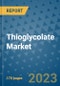 Thioglycolate Market Outlook: Trends, Strategies, Market Size, Market Share, Growth Opportunities and Companies, 2023-2030 - Product Image