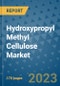 Hydroxypropyl Methyl Cellulose Market Outlook: Trends, Strategies, Market Size, Market Share, Growth Opportunities and Companies, 2023-2030 - Product Image