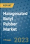 Halogenated Butyl Rubber Market Outlook: Trends, Strategies, Market Size, Market Share, Growth Opportunities and Companies, 2023-2030 - Product Image