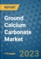 Ground Calcium Carbonate Market Outlook: Trends, Strategies, Market Size, Market Share, Growth Opportunities and Companies, 2023-2030 - Product Image