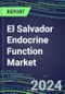 2024 El Salvador Endocrine Function Market for 20 Tests - 2023 Supplier Shares and Strategies, Opportunities - 2023-2028 Volume and Sales Segment Forecasts, Latest Technologies and Instrumentation Pipeline - Product Thumbnail Image