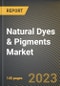 Natural Dyes & Pigments Market Research Report by Type (Dyes, Pigments), Application (Construction, Leather, Paints & Coatings) - United States Forecast 2023-2030 - Product Image