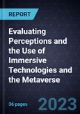 Evaluating Perceptions and the Use of Immersive Technologies and the Metaverse- Product Image