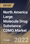 North America Large Molecule Drug Substance CDMO Market Size, Share & Industry Trends Analysis Report By Application (Mammalian, Microbial and Others), By Service (Contract Manufacturing and Contract Development), By End-user, By Country and Growth Forecast, 2022 - 2028 - Product Image