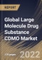 Global Large Molecule Drug Substance CDMO Market Size, Share & Industry Trends Analysis Report By Application (Mammalian, Microbial and Others), By Service (Contract Manufacturing and Contract Development), By End-user, By Regional Outlook and Forecast, 2022 - 2028 - Product Image