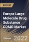 Europe Large Molecule Drug Substance CDMO Market Size, Share & Industry Trends Analysis Report By Application (Mammalian, Microbial and Others), By Service (Contract Manufacturing and Contract Development), By End-user, By Country and Growth Forecast, 2022 - 2028 - Product Thumbnail Image