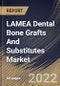 LAMEA Dental Bone Grafts And Substitutes Market Size, Share & Industry Trends Analysis Report By End-use (Dental Clinics and Hospitals), By Material Type (Xenograft, Allograft, Autograft and Synthetic), By Application, By Country and Growth Forecast, 2022 - 2028 - Product Image
