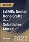 LAMEA Dental Bone Grafts And Substitutes Market Size, Share & Industry Trends Analysis Report By End-use (Dental Clinics and Hospitals), By Material Type (Xenograft, Allograft, Autograft and Synthetic), By Application, By Country and Growth Forecast, 2022 - 2028 - Product Thumbnail Image