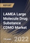 LAMEA Large Molecule Drug Substance CDMO Market Size, Share & Industry Trends Analysis Report By Application (Mammalian, Microbial and Others), By Service (Contract Manufacturing and Contract Development), By End-user, By Country and Growth Forecast, 2022 - 2028 - Product Thumbnail Image