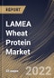 LAMEA Wheat Protein Market Size, Share & Industry Trends Analysis Report By Application, By Concentration (75% concentration, 80% concentration and 95% concentration), By Product, By Country and Growth Forecast, 2022 - 2028 - Product Thumbnail Image
