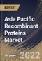 Asia Pacific Recombinant Proteins Market Size, Share & Industry Trends Analysis Report By Product, By End User, By Application, By Country and Growth Forecast, 2022 - 2028 - Product Thumbnail Image