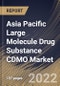 Asia Pacific Large Molecule Drug Substance CDMO Market Size, Share & Industry Trends Analysis Report By Application (Mammalian, Microbial and Others), By Service (Contract Manufacturing and Contract Development), By End-user, By Country and Growth Forecast, 2022 - 2028 - Product Thumbnail Image