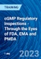 cGMP Regulatory Inspections - Through the Eyes of FDA, EMA and PMDA (March 7, 2023) - Product Image
