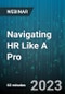 Navigating HR Like A Pro: What Every Small Business & New HR Person Should Know, Do and Avoid - Webinar - Product Image