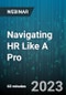 Navigating HR Like A Pro: What Every Small Business & New HR Person Should Know, Do and Avoid - Webinar (Recorded) - Product Thumbnail Image