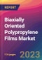 Biaxially Oriented Polypropylene (BOPP) Films Market Size, Market Share, Application Analysis, Regional Outlook, Growth Trends, Key Players, Competitive Strategies and Forecasts, 2022 to 2030 - Product Image
