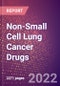 Non-Small Cell Lung Cancer Drugs in Development by Stages, Target, MoA, RoA, Molecule Type and Key Players, 2022 Update - Product Image