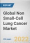 Global Non Small-Cell Lung Cancer Market By Type, By Treatment Type, By Distribution Channel: Global Opportunity Analysis and Industry Forecast, 2021-2031 - Product Image