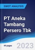 PT Aneka Tambang Persero Tbk - Strategy, SWOT and Corporate Finance Report- Product Image