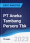PT Aneka Tambang Persero Tbk - Strategy, SWOT and Corporate Finance Report - Product Thumbnail Image