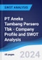 PT Aneka Tambang Persero Tbk - Company Profile and SWOT Analysis - Product Thumbnail Image