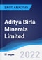 Aditya Birla Minerals Limited - Strategy, SWOT and Corporate Finance Report - Product Thumbnail Image