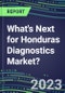 2023 What's Next for Honduras Diagnostics Market? 2022 Supplier Shares and Strategies, 2022-2027 Volume and Sales Forecasts for 500 Tests - Product Thumbnail Image