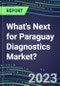 2023 What's Next for Paraguay Diagnostics Market? 2022 Supplier Shares and Strategies, 2022-2027 Volume and Sales Forecasts for 500 Tests - Product Thumbnail Image