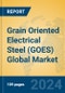 Grain Oriented Electrical Steel (GOES) Global Market Insights 2024, Analysis and Forecast to 2029, by Manufacturers, Regions, Technology, Application, Product Type - Product Image