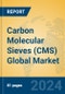 Carbon Molecular Sieves (CMS) Global Market Insights 2024, Analysis and Forecast to 2029, by Manufacturers, Regions, Technology, Application - Product Image