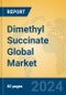 Dimethyl Succinate Global Market Insights 2024, Analysis and Forecast to 2029, by Manufacturers, Regions, Technology, Application - Product Image