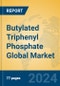 Butylated Triphenyl Phosphate Global Market Insights 2024, Analysis and Forecast to 2029, by Manufacturers, Regions, Technology, Application - Product Image